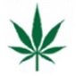 Cannabis Counter Mats